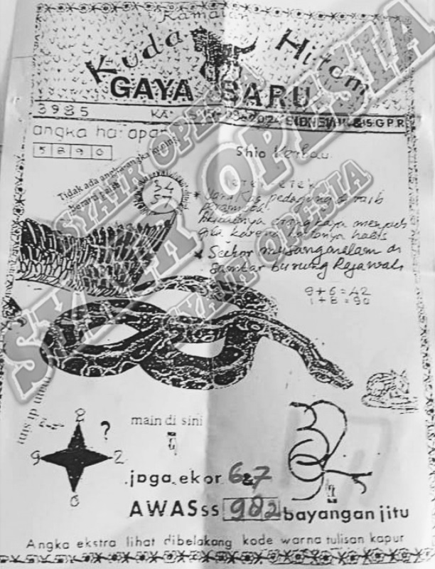SYAIR SGP VIP